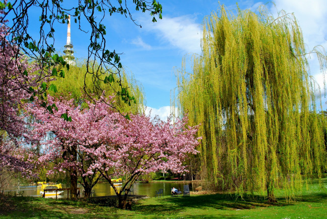 Обои картинки фото природа, парк, деревья, вышка, лодки, водоем