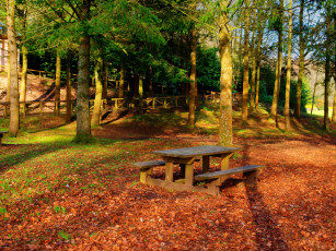 Картинка природа парк скамья