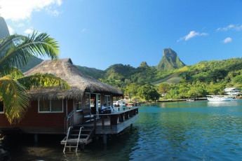 Картинка французская полинезия природа тропики река