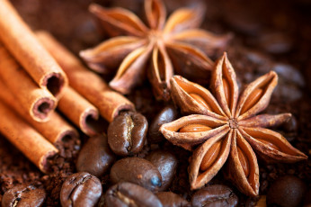 Картинка еда крупы зерно специи семечки кофе анис корица