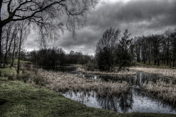 Картинка природа реки озера сумрак тучи река лес трава