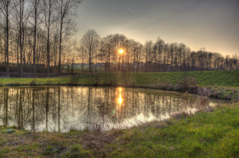 Картинка природа реки озера лес пруд трава солнце поле