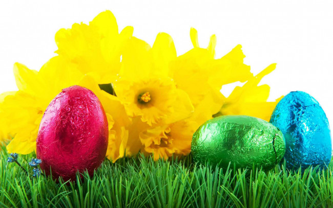 Обои картинки фото праздничные, пасха, нарциссы, шоколадные, яйца