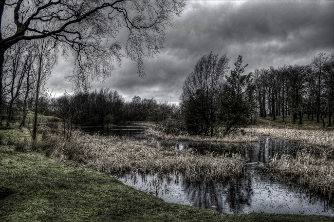 Обои картинки фото природа, реки, озера, сумрак, тучи, река, лес, трава