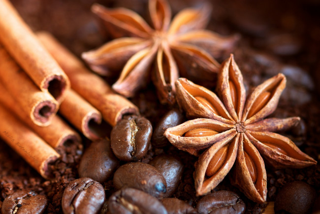 Обои картинки фото еда, крупы, зерно, специи, семечки, кофе, анис, корица