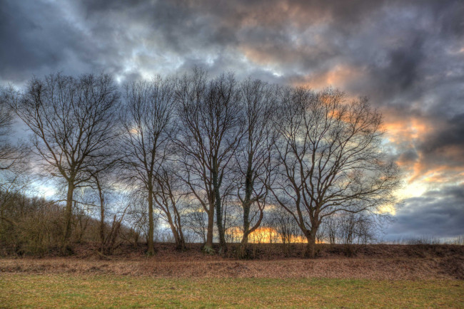 Обои картинки фото природа, деревья, тучи, поле