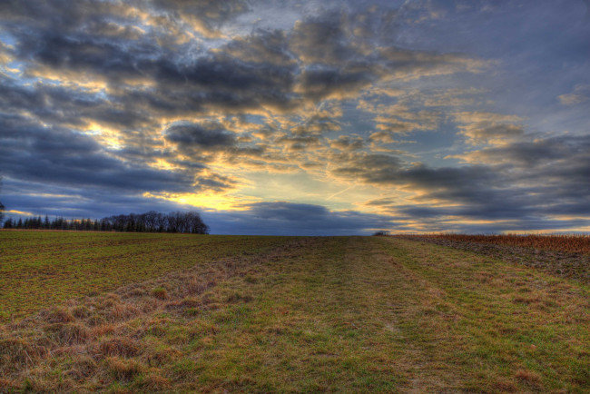 Обои картинки фото природа, поля, горизонт, поле, трава, тучи