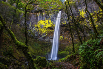 Картинка sharm+el+sheikh+египет природа водопады парк водопад египет