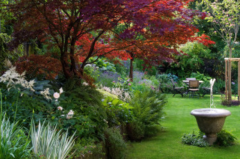 Картинка природа парк кусты деревья фонтан