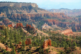 Картинка bryce+canyon+national+park++utah природа горы bryce canyon парк ели park utah