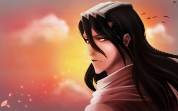 Картинка аниме bleach блич бьякуя арт парень закат небо лепестки взгляд кучики брюнет птицы