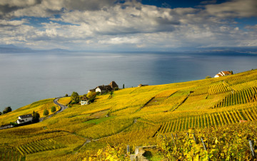 Картинка природа поля горизонт