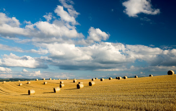 Картинка природа поля снопы