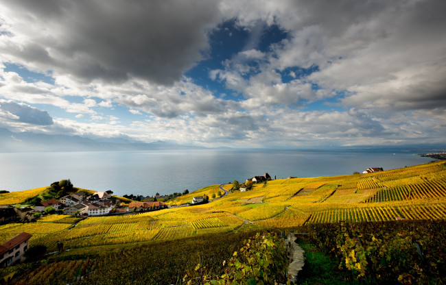 Обои картинки фото природа, поля, горизонт