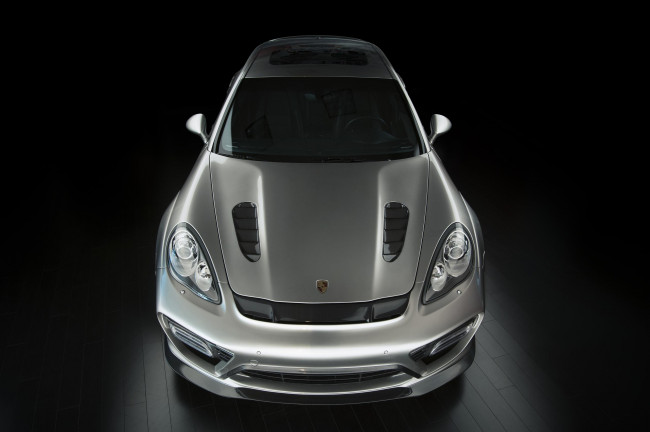 Обои картинки фото автомобили, porsche, panamera