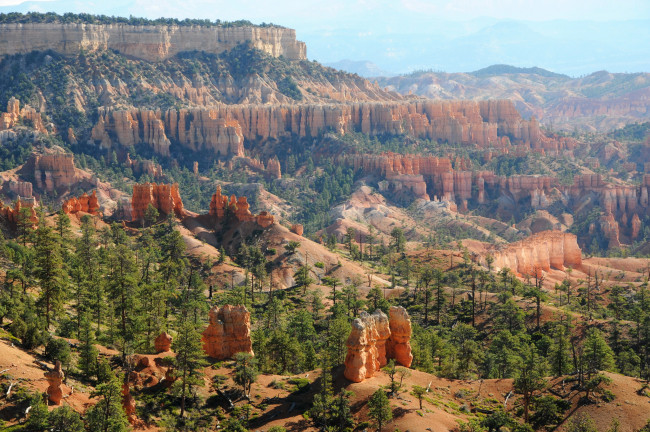 Обои картинки фото bryce canyon national park  utah, природа, горы, bryce, canyon, парк, ели, park, utah