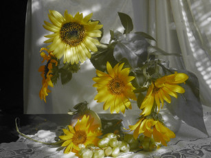 Картинка цветы подсолнухи листья букет