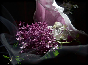 Картинка цветы разные+вместе сирень ткань