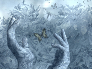 Картинка разное компьютерный+дизайн бабочки руки обработка