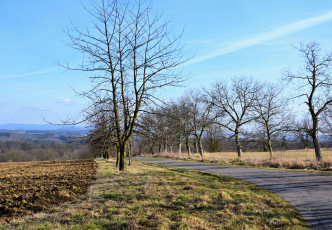 Картинка природа дороги деревья дорога