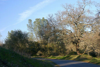 Картинка природа дороги дорога