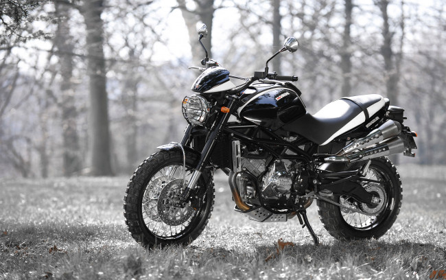 Обои картинки фото мотоциклы, -unsort, moto, morini