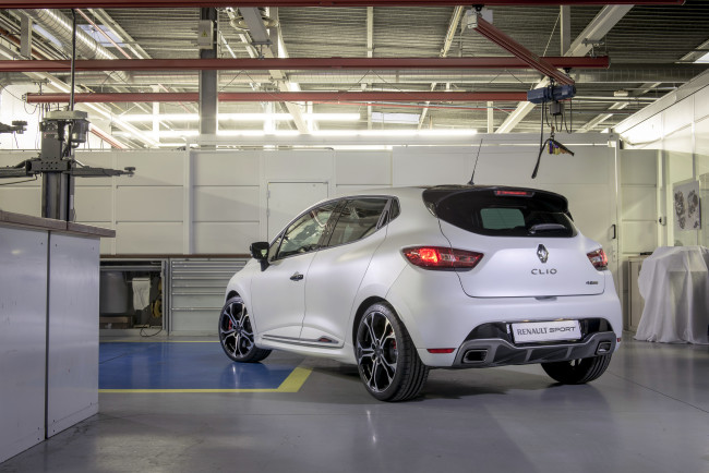 Обои картинки фото автомобили, renault, clio, trophy, rs, 220, 2015г, светлый