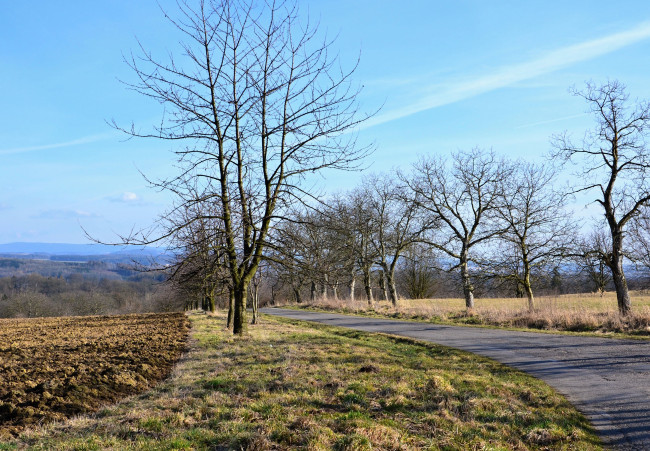 Обои картинки фото природа, дороги, деревья, дорога