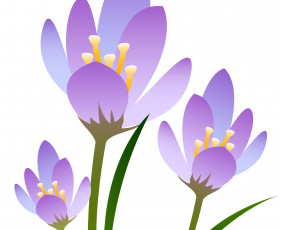 Картинка векторная+графика цветы+ flowers фон цветы