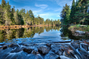 Картинка природа реки озера лес река