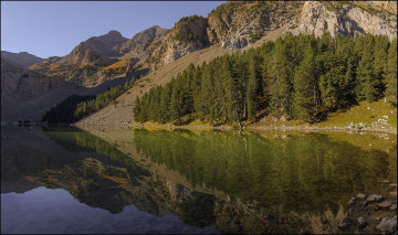 Картинка природа реки озера река лес