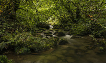 Картинка природа реки озера река лес