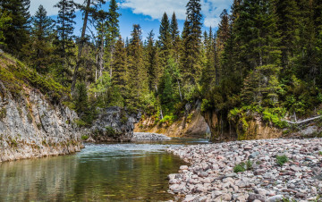 Картинка природа реки озера река лес