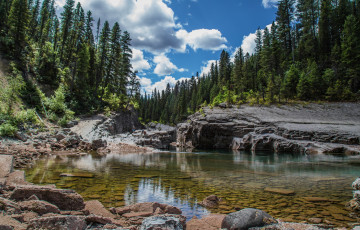 Картинка природа реки озера лес река