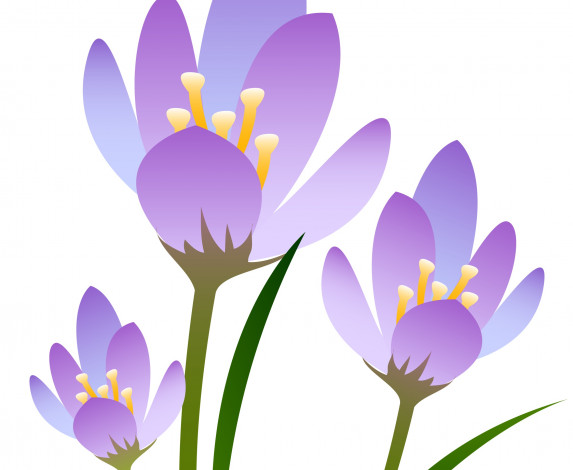 Обои картинки фото векторная графика, цветы , flowers, фон, цветы