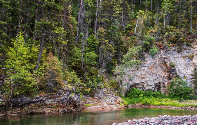 Обои картинки фото природа, реки, озера, лес, река