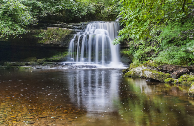 Обои картинки фото природа, водопады, лес, водопад, река
