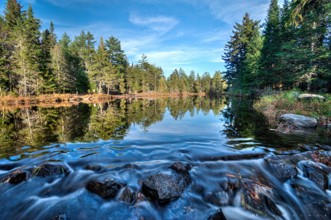 Обои картинки фото природа, реки, озера, лес, река