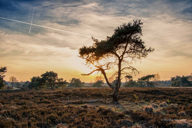 Обои картинки фото природа, пейзажи, утро