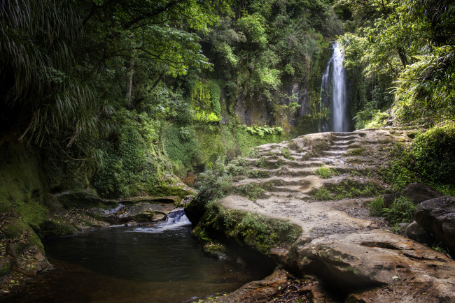 Обои картинки фото природа, водопады, водопад, река, лес