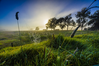 Картинка природа пейзажи простор