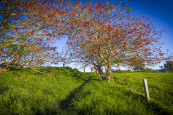 Картинка природа пейзажи простор