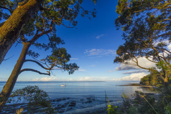 Картинка природа побережье простор