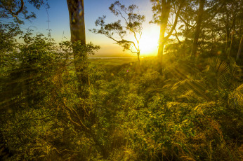 Картинка природа восходы закаты простор