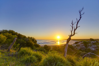 Картинка природа восходы закаты простор