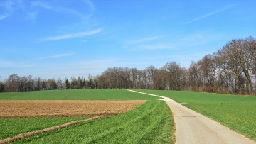 Картинка природа дороги поле деревья дорога