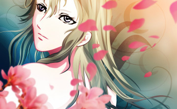 Картинка аниме claymore фон девушка арт