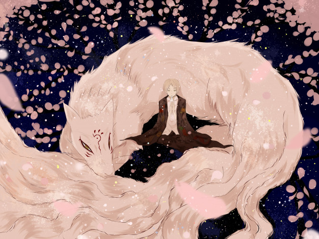 Обои картинки фото аниме, natsume yuujinchou, няко, натсуме