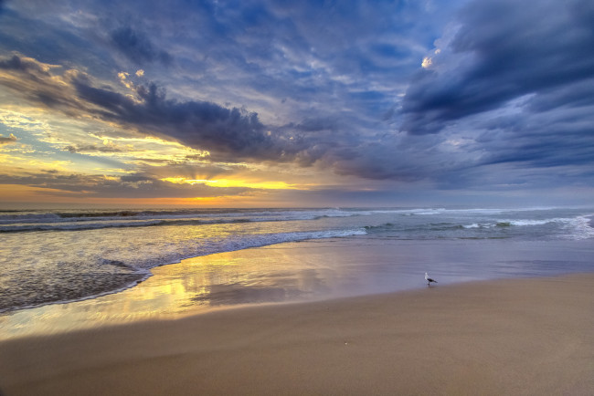 Обои картинки фото природа, побережье, простор