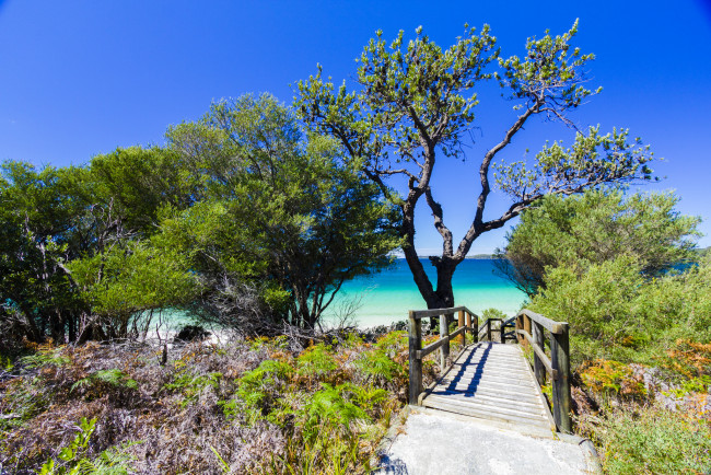 Обои картинки фото природа, побережье, простор